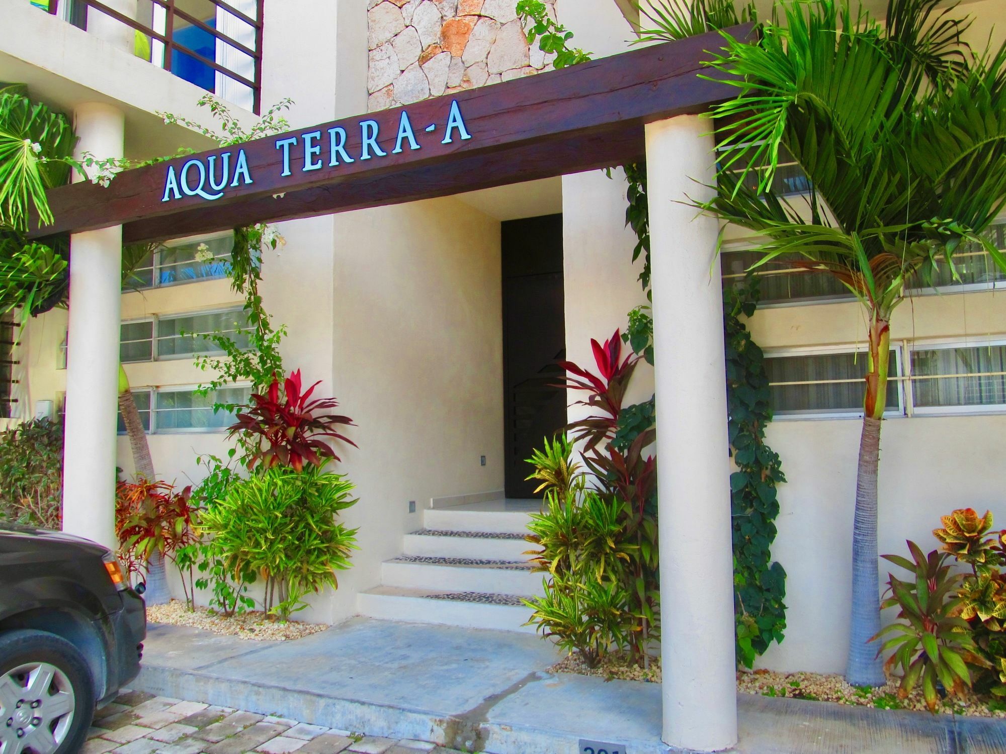 פלאייה דל כרמן Aqua Terra - Quiet Condo For 4 מראה חיצוני תמונה